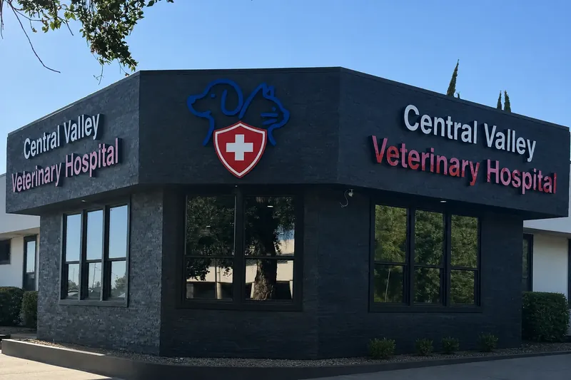 Exterior view of Central Valley Veterinary Hospital building and entrance in Manteca, California, welcoming pet owners for comprehensive veterinary care.