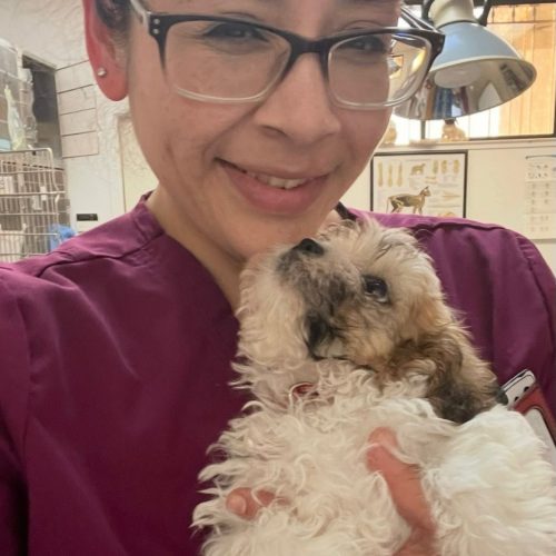 Patricia, Veterinary Assistant at Central Valley Veterinary Hospital