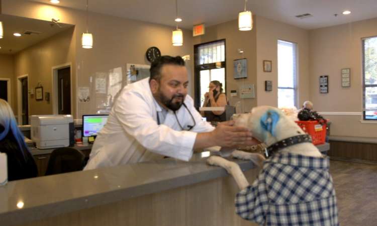 A smiling veterinarian comforting a dog during a consultation with a digital X-ray clearly visible on the computer monitor in the background, representing the hospital's advanced radiology technology and in-house diagnostic capabilities.