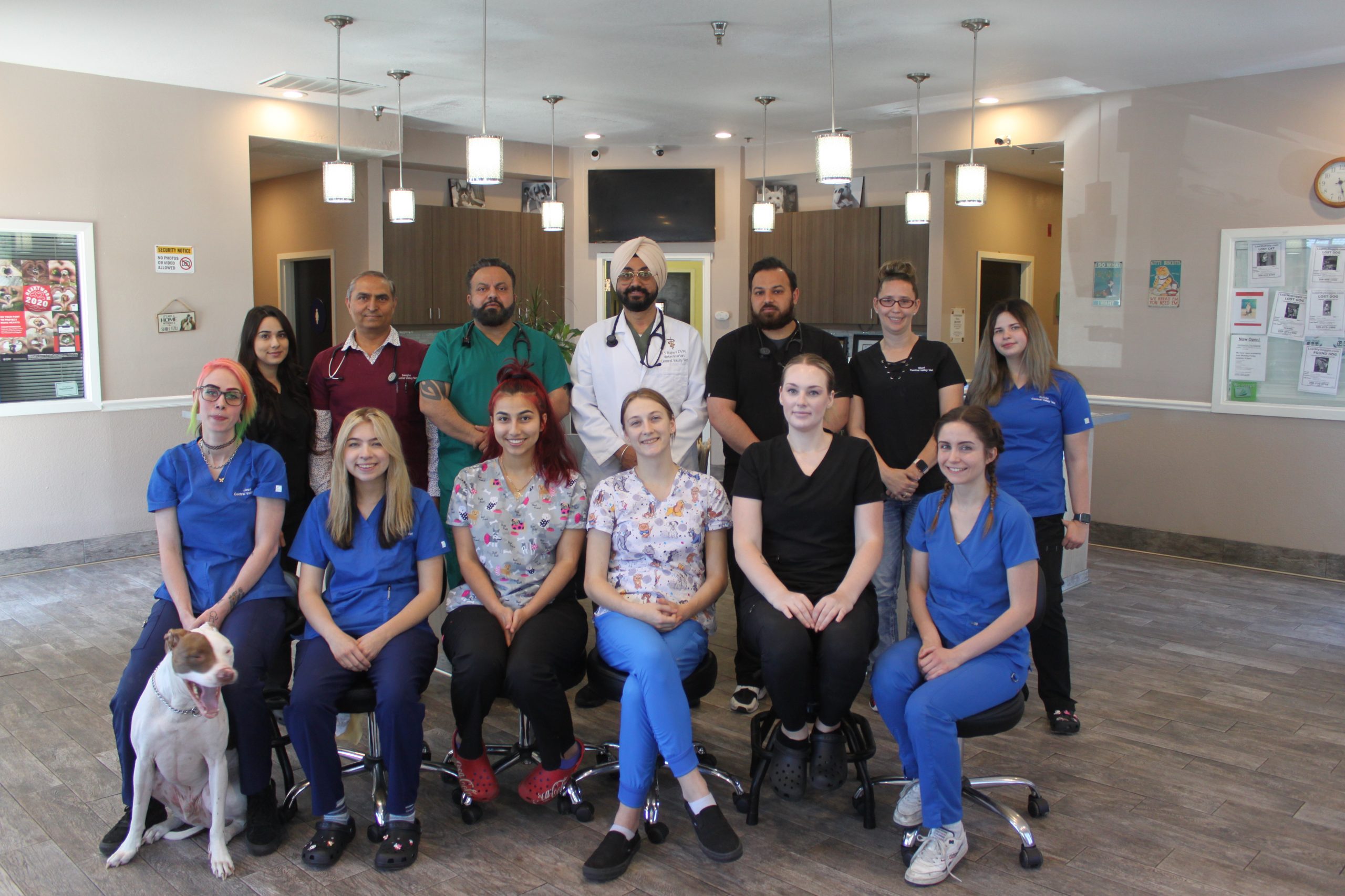 Meet the Team – Central Valley Vet Hospital